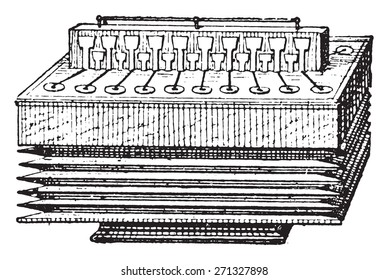 Accordion, vintage engraved illustration. Dictionary of words and things - Larive and Fleury - 1895. 