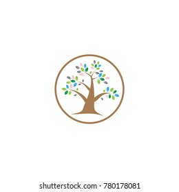 Accounting Logo Concept