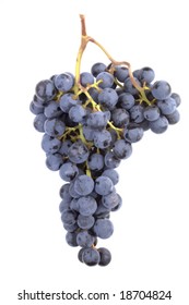 Accurate And Realistic Pinot Noir Grape Cluster From A Winery. Isolated. VECTOR.