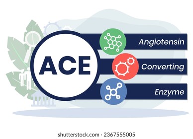 ACE - Angiotensin Converting Enzyme acronym. business concept background. vector illustration concept with keywords and icons. lettering illustration with icons for web banner, flyer