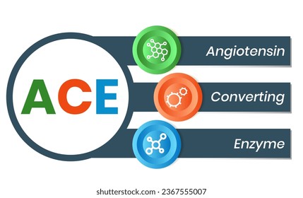 ACE - Angiotensin Converting Enzyme Akronym. Hintergrund des Unternehmenskonzepts. Vektorgrafik-Konzept mit Schlagwörtern und Symbolen. Buchstabengrafik mit Symbolen für Webbanner, Flyer