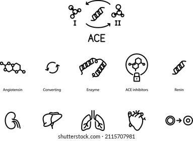 ACE, Angiotensin Converting Enzyme Icons Set, Vector