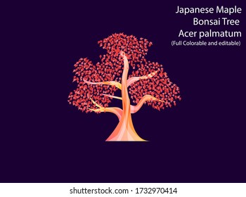 Acer palmatum Red Maple tree Bonsai Flat vector illustration