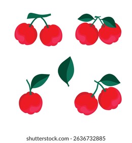 Acerola. Berries. A color vector set on a white background.