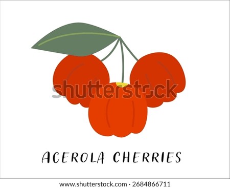 Acerola cherries with leaves, flat vector illustration. Vitamin C Food. 