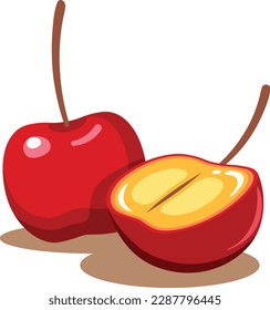 Acerola cherry superfood fruit, isolated on white background, vector illustration