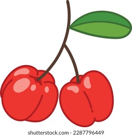 Acerola cherry superfood fruit, isolated on white background, vector illustration