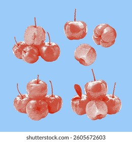Acerola cherry vector, acerola cherry illustration, line drawing on blue background.