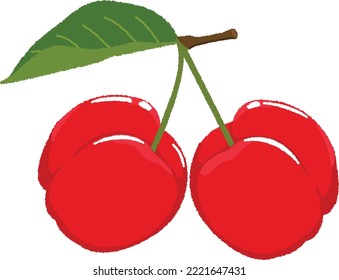 Acerola is small, with a diameter of around 2cm and a weight of 5-8g. Among the fruits, it has the highest amount of vitamin C, and can be expected to prevent colds and beautify the skin.