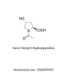 Acetanilide skeletal structure.Amide compound schematic illustration. Simple diagram, chemical structure.