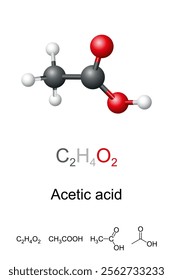 Acetic acid, ethanoic acid, molecule model and chemical structure. Acidic, colorless liquid and organic compound with chemical formula CH3COOH. Vinegar is at least 4 percent acetic acid by volume.