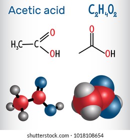 Acetic acid (ethanoic) molecule. Structural chemical formula and molecule model. Vector illustration