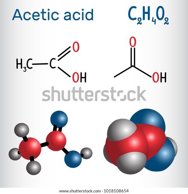 Acetic Acid Ethanoic Molecule Structural Chemical Stock Vector Royalty Free 1018108654