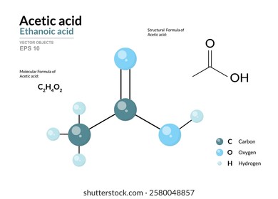 Acetic Acid. Ethanoic Acid. Vinegar. Structural Chemical Formula and 3d Model of Molecule. C2H4O2. Atoms with Color Coding. Vector Graphic Illustration for Educational Materials, Scientific Articles