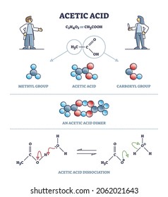 Acetic acid formula or vinegar substance chemical description outline diagram. Labeled educational compound detailed explanation with structure and dissociation process scheme vector illustration.