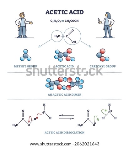 Acetic acid formula or vinegar substance chemical description outline diagram. Labeled educational compound detailed explanation with structure and dissociation process scheme vector illustration.