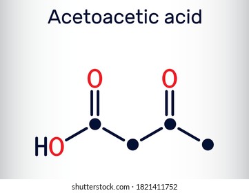 Acetoacetic acid, diacetic, oxobutanoic acid molecule. It is a ketone body, conjugate acid of an acetoacetate. Skeletal chemical formula. Vector illustration