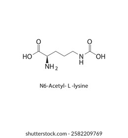 Acetoacetic acid skeletal structure.Beta-Keto Acid compound schematic illustration. Simple diagram, chemical structure.