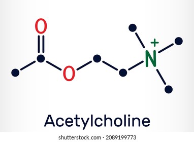 Acetylcholine Acetylcholine Definition