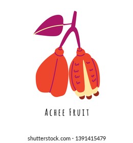 Achee fruit flat vector illustration. Cartoon slices of fresh tropical fruit. Isolated icon with shadow. Clipart with typography for healthy cooking menu, logo, design element