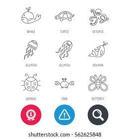 Achievement and search magnifier signs. Octopus, turtle and dolphin icons. Jellyfish, whale and ladybug linear signs. Crab, butterfly flat line icons. Hazard attention icon. Vector