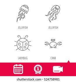 Achievement and video cam signs. Jellyfish, crab and ladybug icons. Ladybird linear sign. Calendar icon. Vector