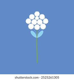 Achillea flower vector art illustration 