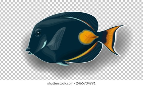 Achilles Tang 3D peces en colores blanco y negro. Fondo transparente. Ilustración vectorial aislada de peces tropicales del Mar Rojo