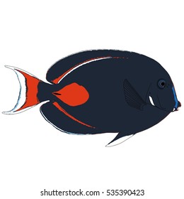 Achilles Tang Vector Illustration