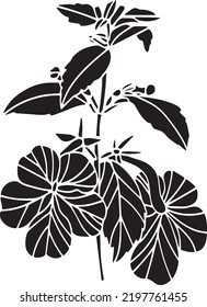 Achimenes Vector Stencil, black and white