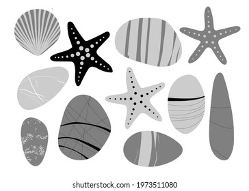 Achromatic Beach pebbles, starfish, shell set. Various grey shapes. Modern illustration in vector. Different shapes and textures set. Various forms of sea rock pebbles isolated on white background.