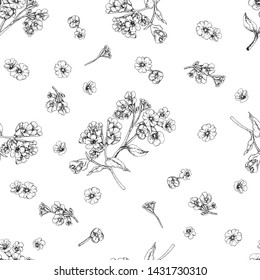  Achromatic seamless pattern in the form of contour rosettes of flowers on a white background.
			