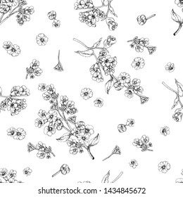  Achromatic seamless pattern in the form of contour rosettes of flowers on a white background.
			