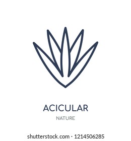 Acicular icon. Acicular linear symbol design from Nature collection. Simple outline element vector illustration on white background.