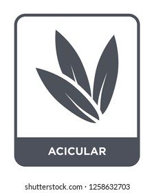acicular icon vector on white background, acicular trendy filled icons from Nature collection, acicular simple element illustration