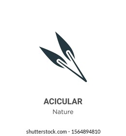Acicular vector icon on white background. Flat vector acicular icon symbol sign from modern nature collection for mobile concept and web apps design.