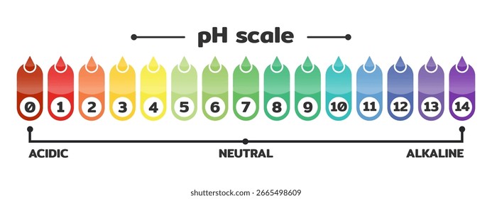 Säurenalkalisches pH-Skalendiagramm, Vektorgrafik.