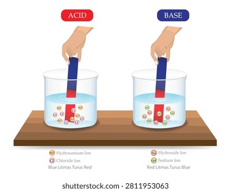 Acid and Base Litmus Paper Test Illustration Showing Hydronium, Hydroxide and Chloride Ions in Aqueous Solutions.