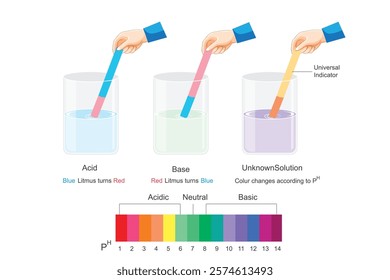 Acid base litmus test. universal indicator. Chemical reactions. How to identify acid and base using litmus.ph scale.acid base indicator chart.
