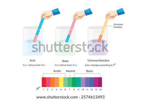 Acid base litmus test. universal indicator. Chemical reactions. How to identify acid and base using litmus.ph scale.acid base indicator chart.