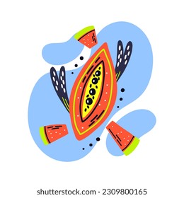 Acid fruit papaya slice on bright spot with pieces. Hand drawn vector