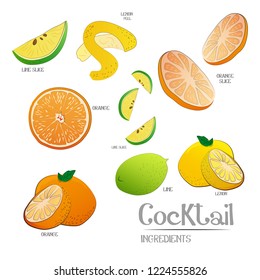 Acid fruits ingredients vector illustration