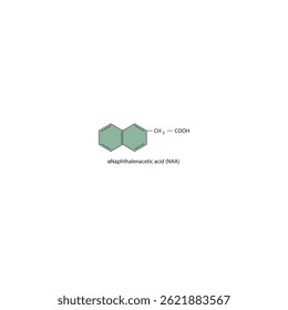 α-Naphthalenacetic acid molecular structure, auxin compound skeletal formula. Simple schematic illustration.