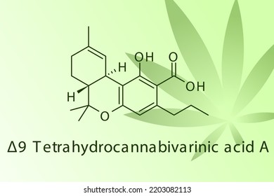 Δ9-Tetrahydro-cannabivarinic acid A molecular structure on green with leaf illustration background. Pharmaceutical natural compound skeletal formula.
