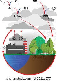 acid rain, air pollutants, nitrogen oxides and sulphur dioxide cause nitric and sulphuric acid formation  