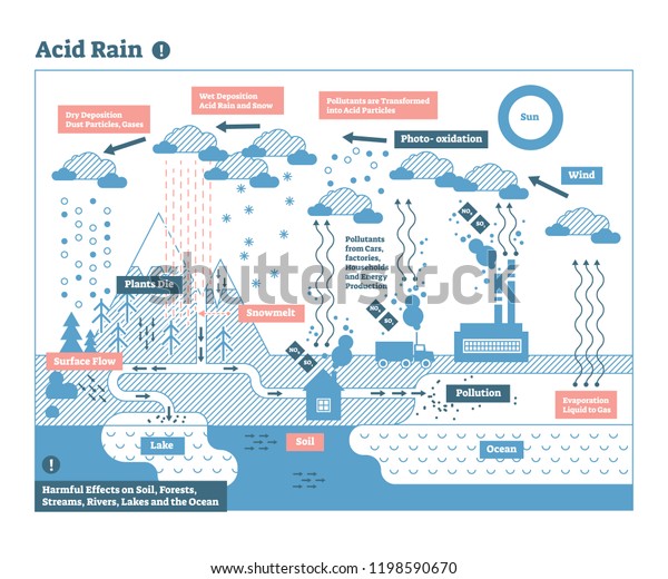 Acid Rain Cycle Nature Ecosystem Flat Stock Vector (Royalty Free ...