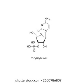 Estrutura esquelética do ácido 3’-citidílico. Ilustração esquemática do composto nucleotídeo. Diagrama simples, fórmula química.