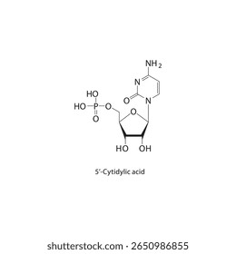 Estrutura esquelética do ácido 5’-citidílico. Ilustração esquemática do composto nucleotídeo. Diagrama simples, fórmula química.