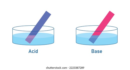 Acids Cause Blue Litmus Paper To Turn Red. Bases Cause Red Litmus Paper To Turn  Blue. Scientific Vector Illustration Isolated On White Background.