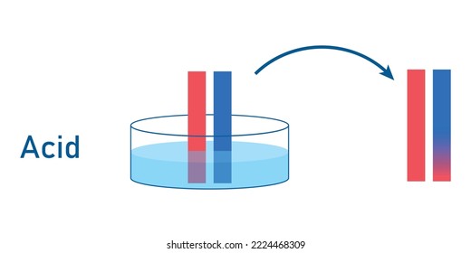 Acids Cause Blue Litmus Paper To Turn Red. Scientific Vector Illustration Isolated On White Background.